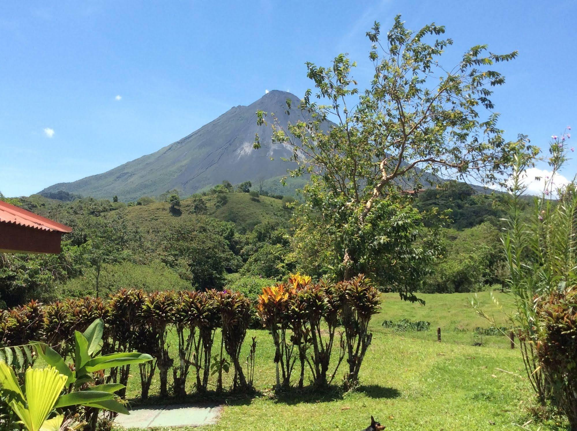 Cabinas Los Guayabos Hotel La Fortuna Exterior foto