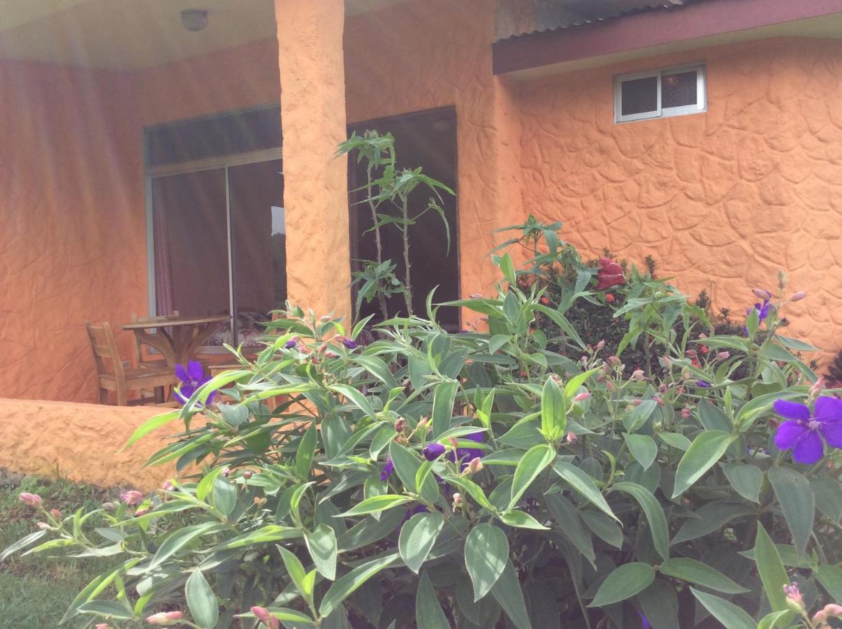 Cabinas Los Guayabos Hotel La Fortuna Exterior foto